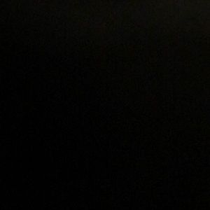 Meet your Posher, Sav